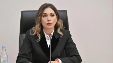 Սրբուհի Գալյանը` 1 տարեկան երեխայի ծեծի դեպքի մասին