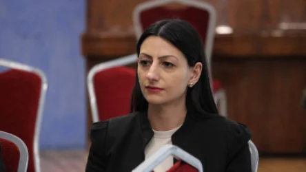 ՄԻՊ ներկայացուցիչները տեսակցել են Դավիթ Մինասյանին