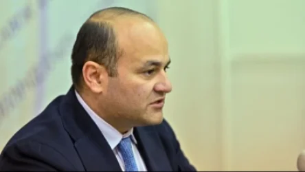 Թմրանյութ և ապօրինի զենք պահելու կասկածանքով բերման է ենթարկվել Նարեկ Մկրտչյանի եղբայրը․ 24News