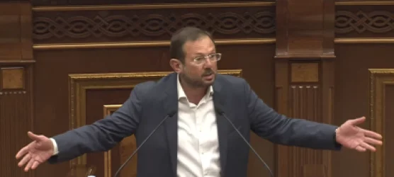 ՏԵՍԱՆՅՈՒԹ. Նույնն է, թե ասեք` ճաղատները չեն կարող վազել, մազ ունեցողները կարող են. Գեղամ Մանուկյան