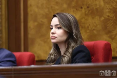 ՏԵՍԱՆՅՈՒԹ․ «Հայաստան դաշինք Սաքուլիկի հետ» կամ  «Գոհարենց չամիչով բուլկի»․ Ղազարյանը՝ ընդդիմությանը