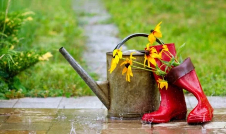 Առաջիկա 4 օրվա եղանակի կանխատեսում. տեղումները կպահպանվեն