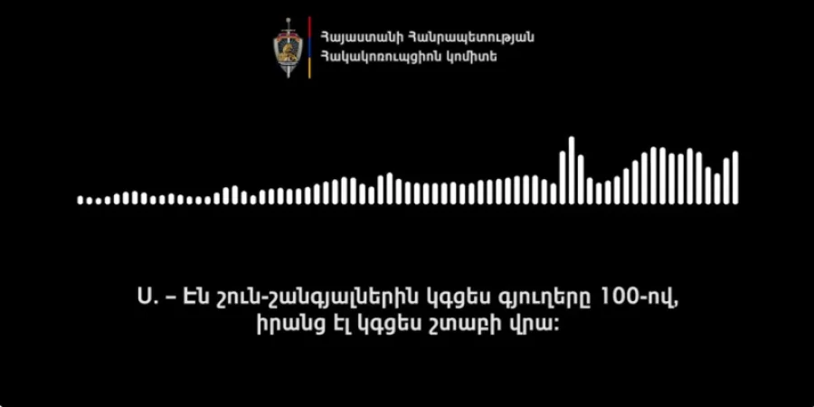 ՏԵՍԱՆՅՈՒԹ․ Ձայնագրություն է հրապարակվել․ «Ուժեղ Հայաստանի» անդամներ են ձերբակալվել