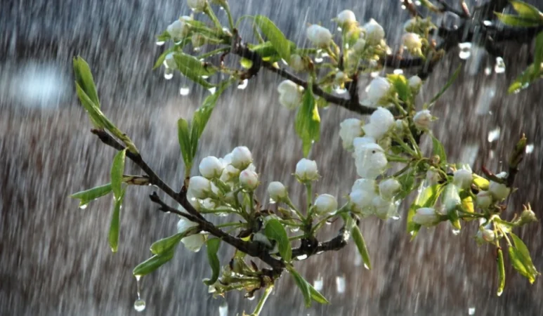 Անձրևները չեն դադարի․ ինտենսիվ տեղումներ են սպասվում