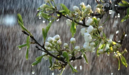 Անձրևները չեն դադարի․ ինտենսիվ տեղումներ են սպասվում