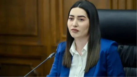 Վարորդին այդ դեպքում՝ չեն կարող տուգանել․ Սարգսյան