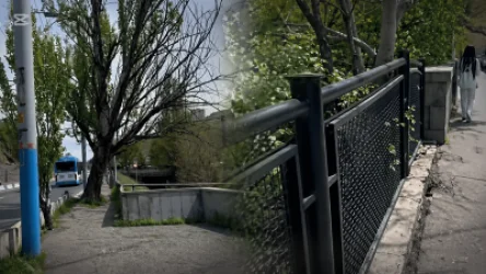 ՏԵՍԱՆՅՈՒԹ. Ծառեր կան, որ ենթակա են շտապ հեռացման. Էդուարդ Հայրումյան