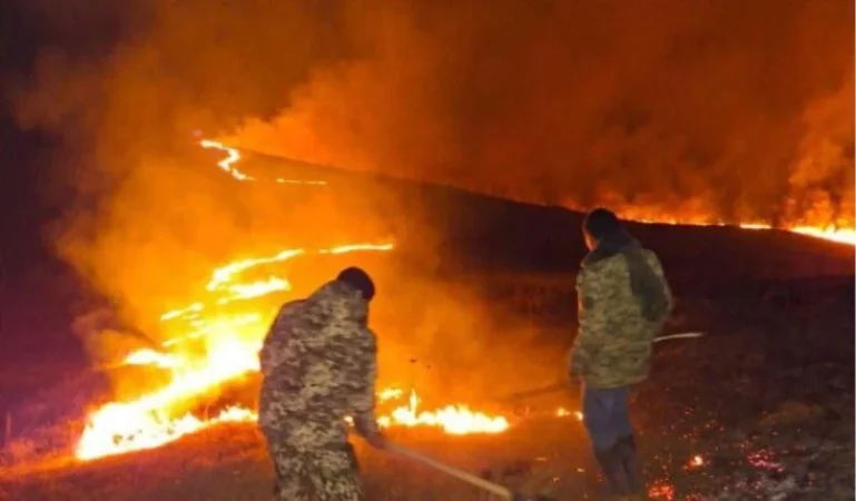 Դիլիջանի անտառներում հրդեհը բռնկվել և տարածվում է միանգամից 4 օջախով. ոչնչանում են անտառները, աղտոտվում է օդը. Գառնիկ Դանիելյան