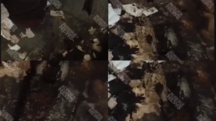 Սարսափելի վիճակ՝ «Տրոլեյբուսների պարկի» զուգարաններում