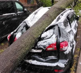 Մայիսյան ձյունը քաոս է առաջացրել Մոսկվայում