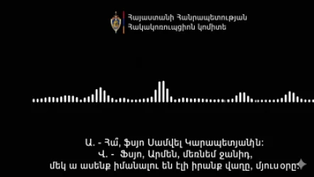 ՁԱՅՆԱԳՐՈւԹՅՈւՆ. «Գանձս, քավորս մեջն ա էլի, հա ՞ Ֆյսո Սամվել Կարապետյանին». «Ուժեղ Հայաստան»-ի համակիրներ