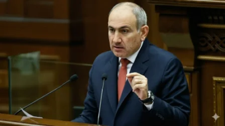ՏԵՍԱՆՅՈՒԹ. Կարճ ասած՝ կեղծելու կարիք չեղավ, ինքը կամավոր կերավ. Փաշինյան