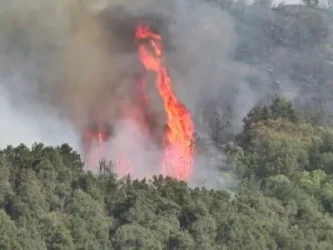 «Խոսրովի անտառ» պետական արգելոցում հրդեհ է բռնկվել