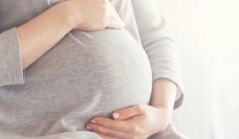 Քամուց պոկված տանիքի թիթեղն ընկել է հղի կնոջ վրա. երեխան ծնվել է վնասվածքով