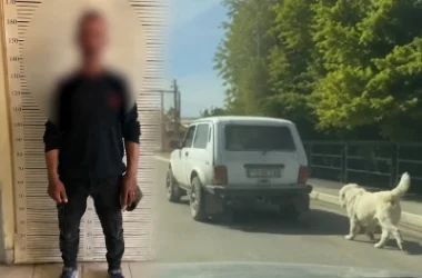 12:00 Լուրերը մեկ տողով. Շանը մեքենայից կապած քարշ տվողը ձերբակալված է. սենսացիոն բացահայտումներ Ստամբուլի բանակցություններից