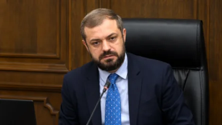 ՏԵՍԱՆՅՈՒԹ․ Միլիոնավոր մարդիկ հնարավորություն կունենան հարմար գներով լոլիկ գնել․ Պապոյան