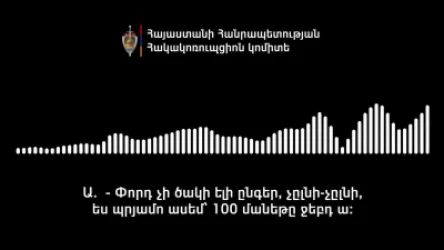 ՏԵՍԱՆՅՈՒԹ․ ԲՀԿ-ականների՝ սկանդալային ձայնագրությունը․ ավել փողը փորդ չի ծակի