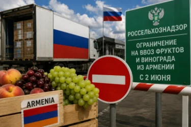 ՌԴ-ում կսահմանափակվի հայկական կորիզավոր մրգերի և խաղողի ներմուծումը 
