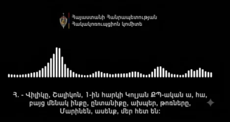 ՁԱՅՆԱԳՐՈՒԹՅՈՒՆ. Կոլյան ՔՊ-ական ա, բայց մենակ ինքը, թոռները, Մարինեն մեր հետ են