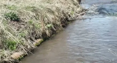 Երևանում ջրանցքից կնոջ դի է դուրս բերվել