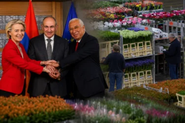 ԵՄ-ի անսպասելի որոշումը՝ Հայաստանի վերաբերյալ․  10 հազար ծաղիկ կարտահանվի
