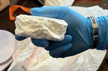 ՏԵՍԱՆՅՈՒԹ. ԱՄՆ-ից ՀՀ ներմուծված առաքանուց հայտնաբերվել է ավելի քան 500 հազար դոլար արժողությամբ կոկաին