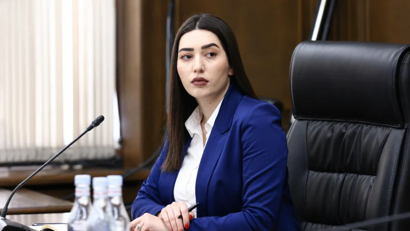 ՆԳ նախարարի խիստ զգուշացումը ընտրություններից առաջ․ որևէ խախտում անպատասխան չի մնա