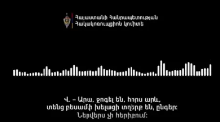 ՍԿԱՆԴԱԼԱՅԻՆ ՁԱՅՆԱԳՐՈՒԹՅՈՒՆ. Հորս արև տենց բեսամփ խելացի տղերք են, ներվերս չի հերիքում