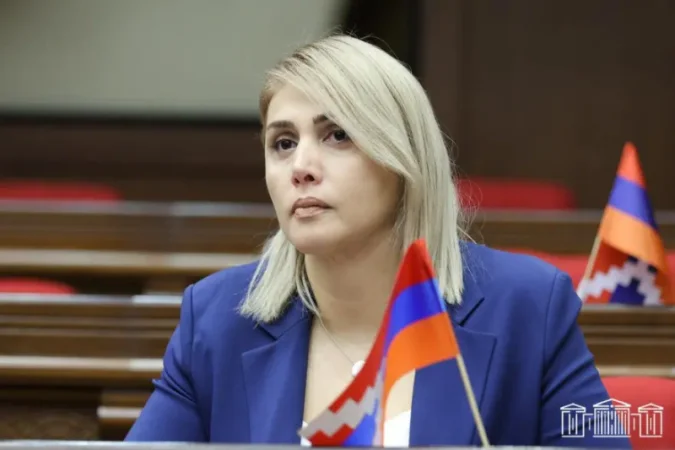 ԲՀԿ պատգամավորի թեկնածու Էլինար Վարդանյանը խոսել է առաջիկա քայլերի մասին