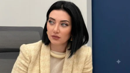 Արփինե Հովհաննիսյանը դիմել է ընդդիմությանը