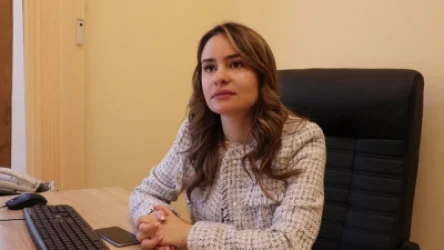 Սոնա Ղազարյանը դիմել է  ընդդիմադիր հայացքներ ունեցող քաղաքացիներին