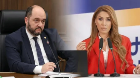 Արայիկ Հարությունյանի անդրադարձը` Գոհար Մելոյանի հայտարարություններին