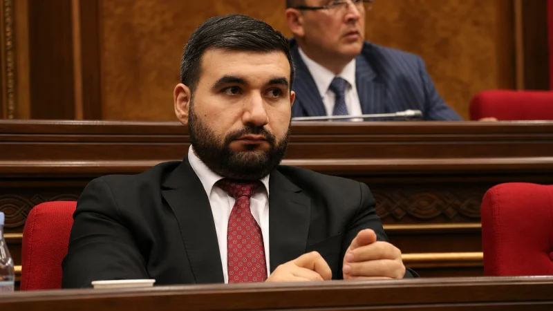 Ասում է՝ ոչխարներին առաջս եմ անում, տանեմ ցույցի․ Ալեքսանյանն ակնարկ է արել