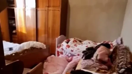 Պեմզաշենում սպանության գործով հարցաքննվել է  Վրույր Բարսեղյանի հորաքույրը․ նա է՞լ է մասնակցություն ունեցել սպանությանը