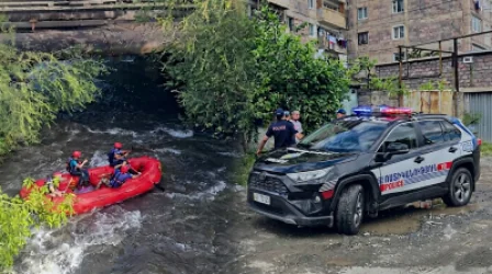 Օրրան հիմնադրամը՝ ջրահեղձ եղած 7-ամյա Նարեի մասին