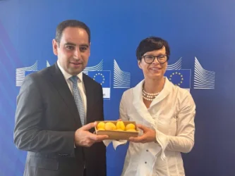Հայկական ծիրանի առաջին խորհրդանշական խմբաքանակը ժամանել է ԵՄ