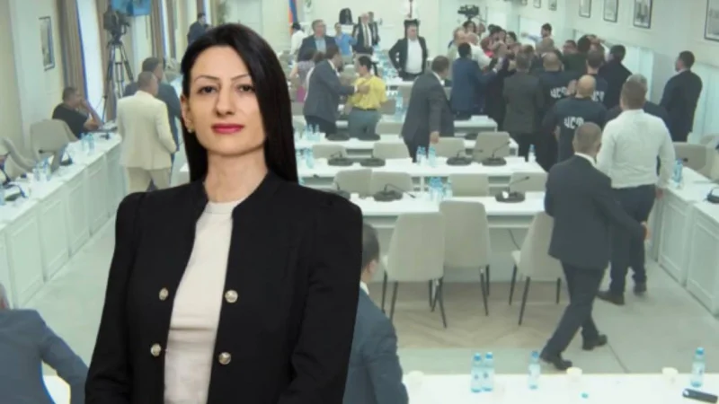 ՄԻՊ-ը մտահոգիչ է համարում Երևանի ավագանու միջադեպը և դատապարտում է բռնության դրսևորումները