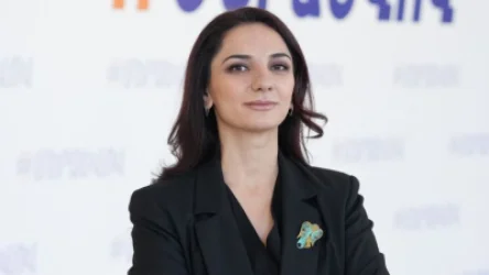 ԱԺ-ից հայտարարիր ՝ Իլհամ Ալիև, Դու ստում ես, Ադրբեջանցիները երբեք Հայաստանում չեն բնակվելու.Արեգա Հովսեփյանը՝ Փաշինյանին