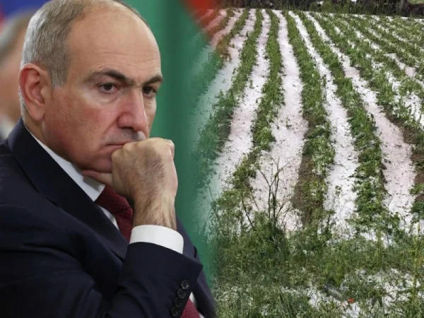Փաշինյանը որոշում է կայացրել․ ի՞նչ է սպասվում կարկտահարությունից տուժածներին