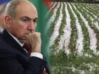 Փաշինյանը որոշում է կայացրել․ ի՞նչ է սպասվում կարկտահարությունից տուժածներին