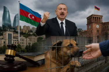 16:00 Լուրերը մեկ տողով. Բաքվի նոր սպառնալիքը Երևանին, կենդանիների պաշտպանության խստացումներ