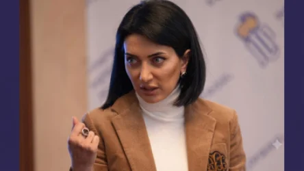 «Եթե ՍԴ-ին չեք վստահում, ինչո՞ւ դիմեցիք». Արփինե Հովհաննիսյանը` ընդդիմությանը