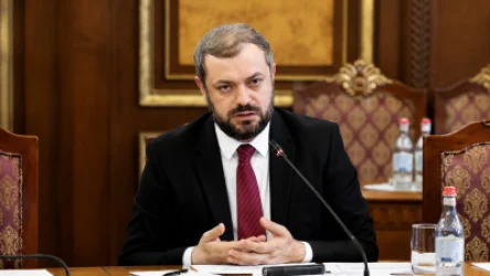 Լոլիկի գները նվազել են. Պապոյանը խոսում է հետևանքների մասին