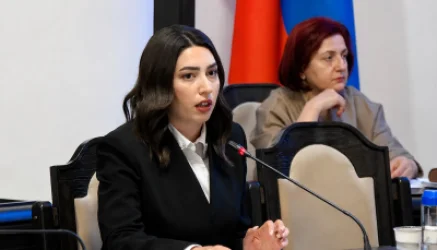 Վարորդական իրավունքների վերահսկողությունը կթվայնացվի. ՆԳՆ նախարար