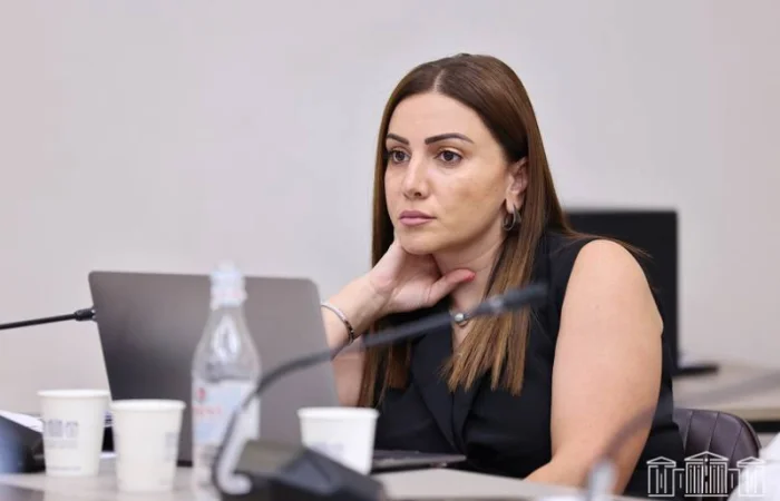 Արուսյակ Մանավազյանն ընտրվեց «Քաղաքացիական պայմանագիր» խմբակցության ղեկավարի թեկնածու