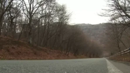 ՏԵՍԱՆՅՈՒԹ. «Հայանտառ» ՊՈԱԿ-ում վատնման եղանակով հափշտակվել է 25 մլն դրամից ավելի գումար. բացահայտում