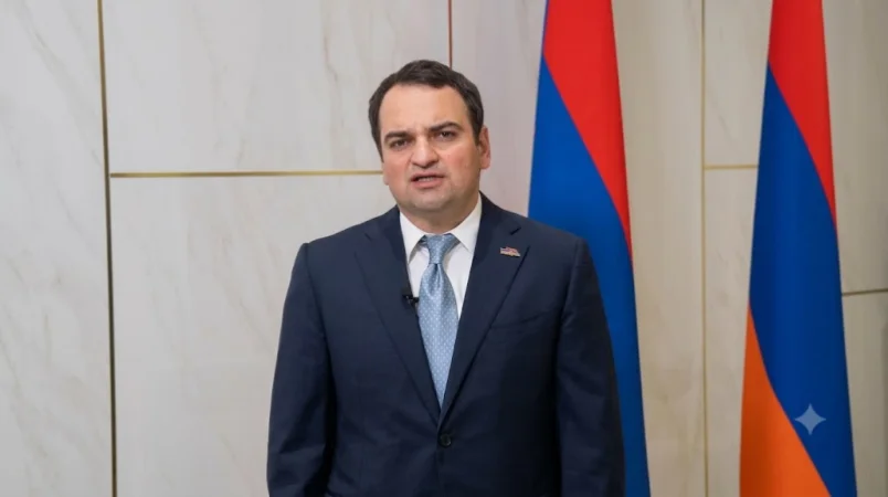 ՏԵՍԱՆՅՈՒԹ. Մենք պայքարելու ենք քեզ համար. Նարեկ Կարապետյանի ուղերձը