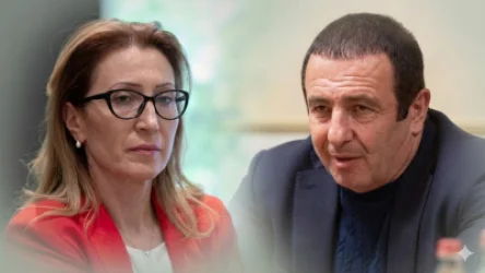 Ընտրովի արդարադատություն և քաղաքական հետապնդում. Մանե Թանդիլյանը՝ Ծառուկյանի գործի մասին