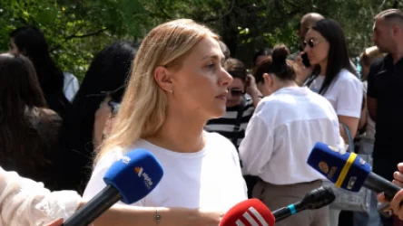 Իշխանությունը գնում է ընդդիմադիր առաջնորդների մեկուսացման ճանապարհով. Էլինար Վարդանյան