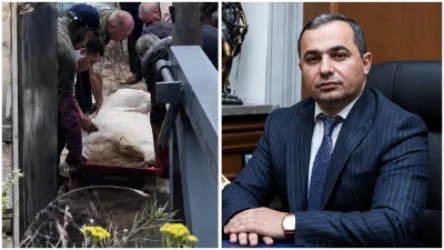 Առյուծի անկման դեպքով առանձին քրեական վարույթ չի նախաձեռնվի․ ՔԿ